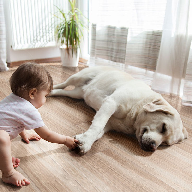 Havenwood Beige porcelain tile shown in a finished room, scene 2
