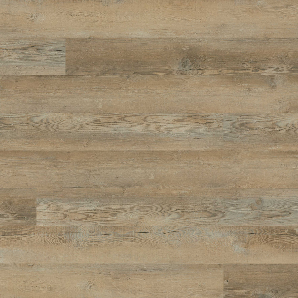 Katavia Lime Washed Oak glue down vinyl plank flooring, top down plank view