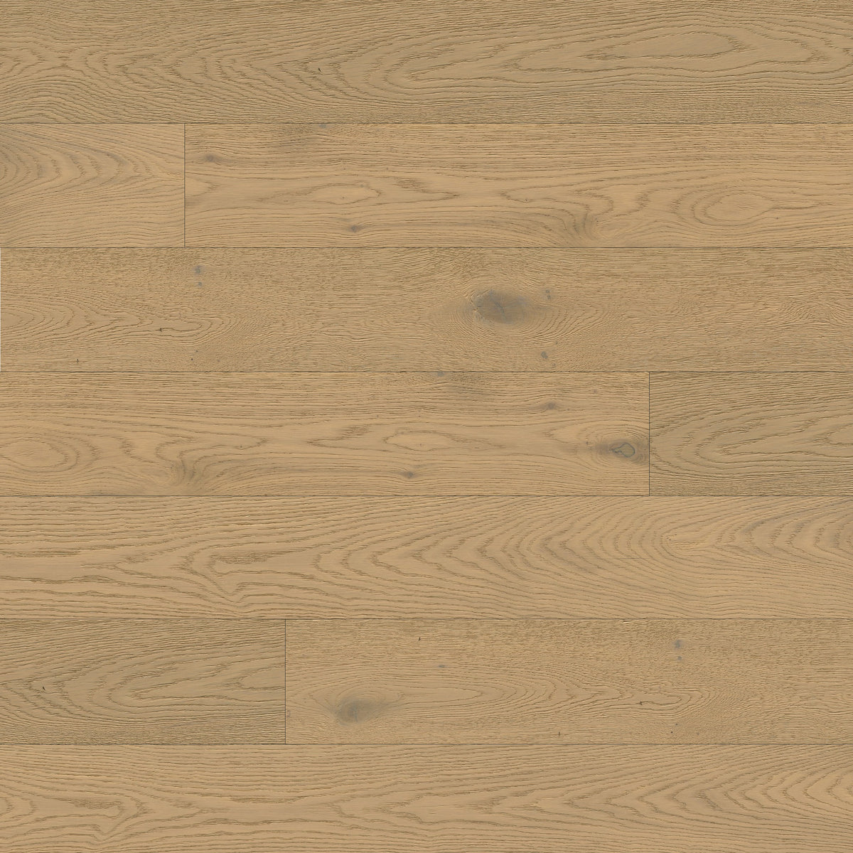 Ladson Talren engineered wood flooring, top down plank view
