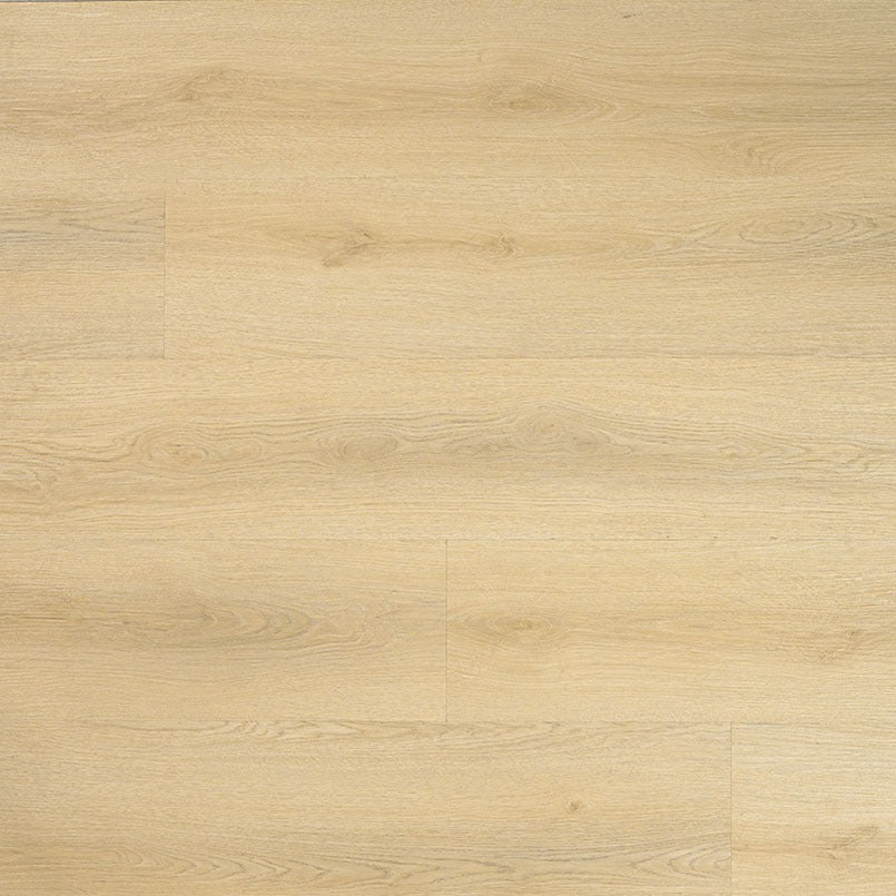 Laurel Tranquilla SPC rigid core vinyl plank flooring, top down plank view