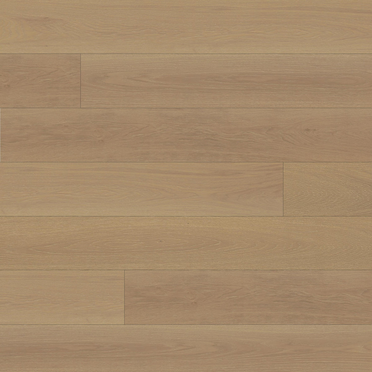 McCarran Reserve Whitlock engineered wood flooring, top down plank view
