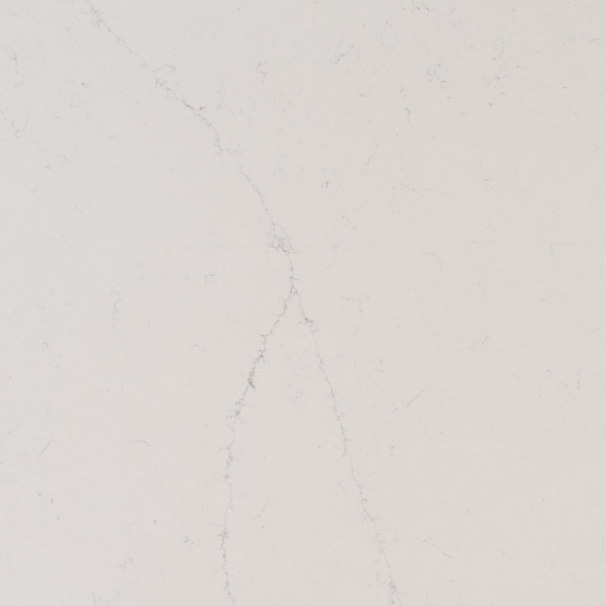 Alabaster White quartz slab, close up of the surface