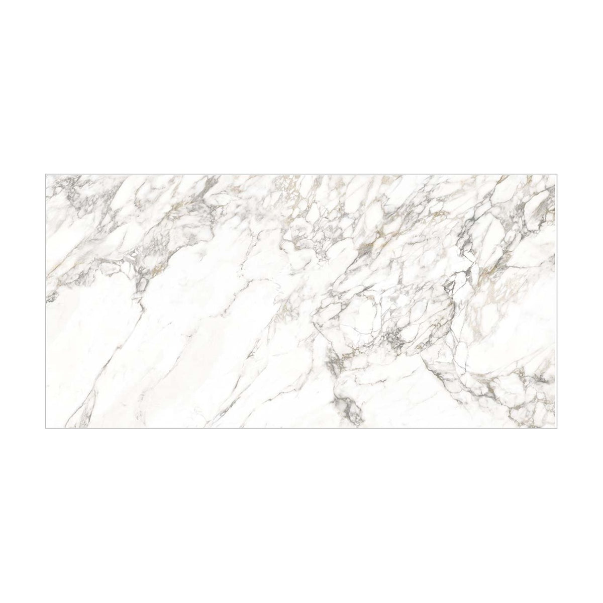 Arabascato Visio porcelain slab, full slab view