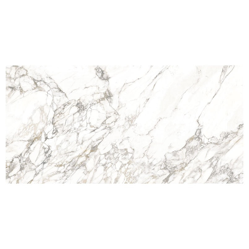 Arabascato Visio porcelain slab in a matte finish, full slab view