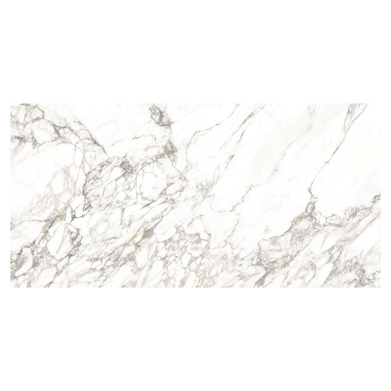 Arabascato Visio porcelain slab in a polished finish, full slab view