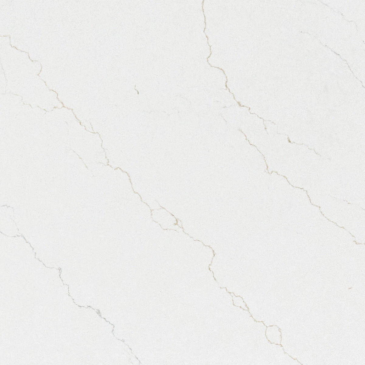 Calacatta Adonia quartz slab, close up of the surface
