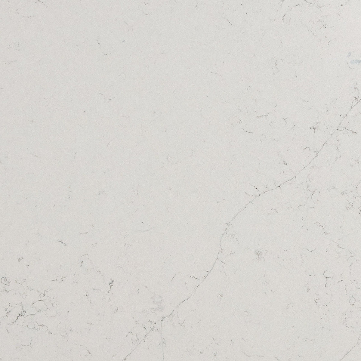 Calacatta Botanica quartz slab, close up of the surface