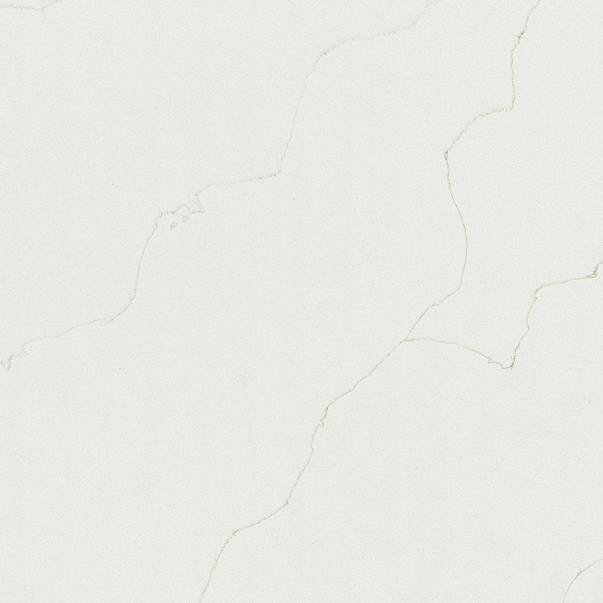 Calacatta Duolina quartz slab, close up of the surface