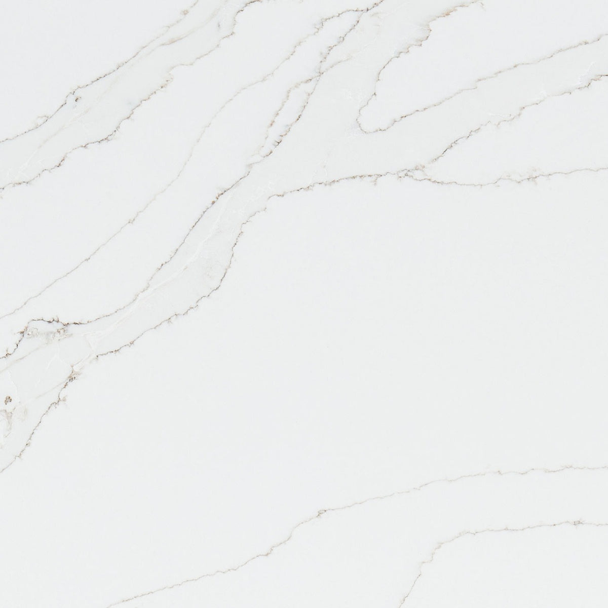 Calacatta Izaro quartz slab, close up of the surface