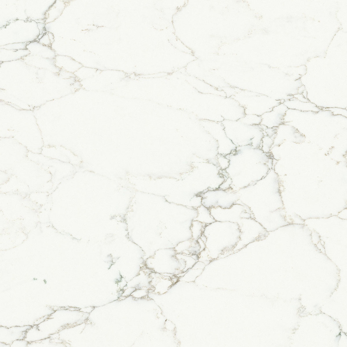 Calacatta Jadira quartz slab, close up of the surface