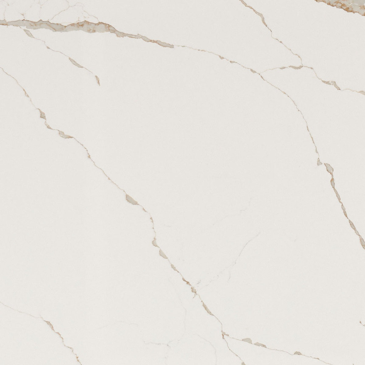 Calacatta Laza Oro quartz slab, close up of the surface
