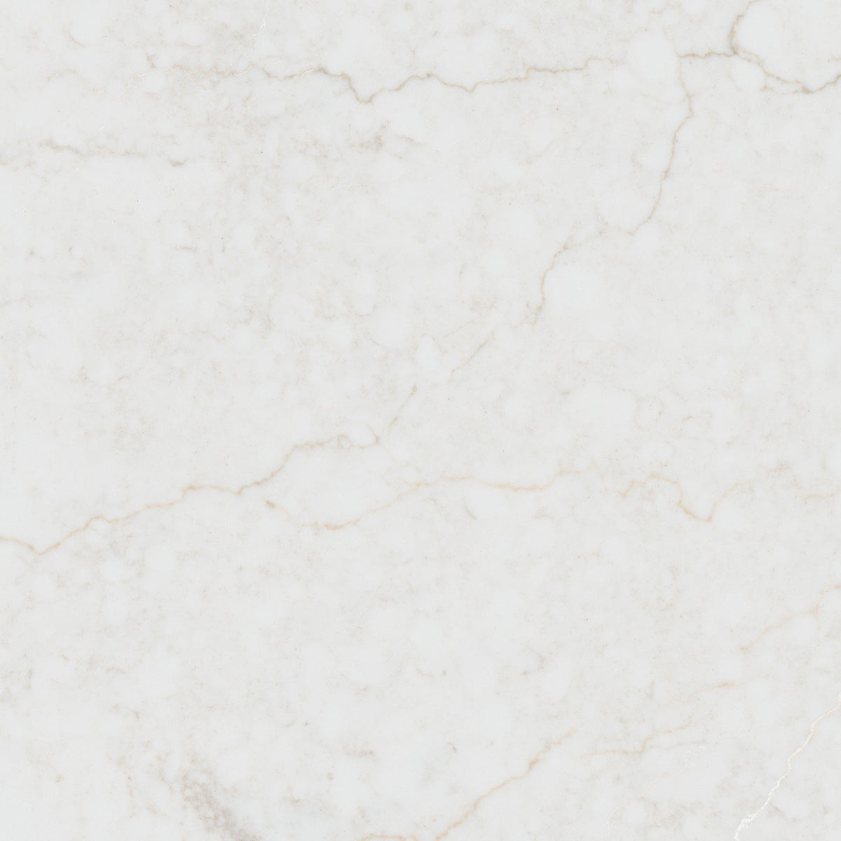 Calacatta Miraggio Cove Honed LumaLuxe Ultra quartz slab, close up of the surface