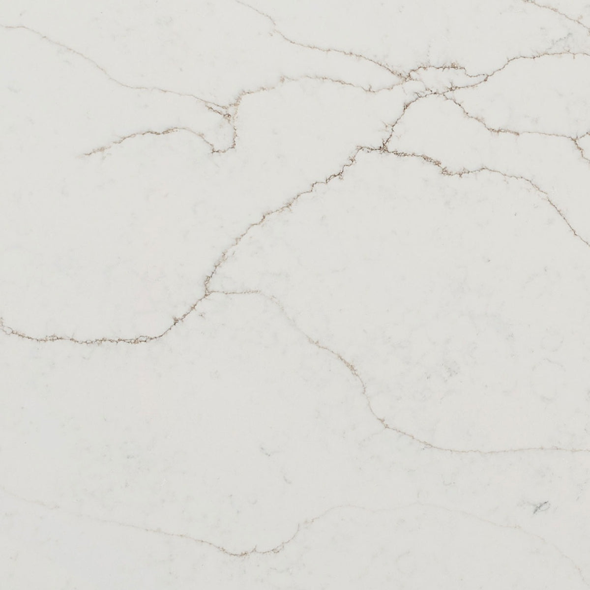 Calacatta Prado quartz slab, close up of the surface