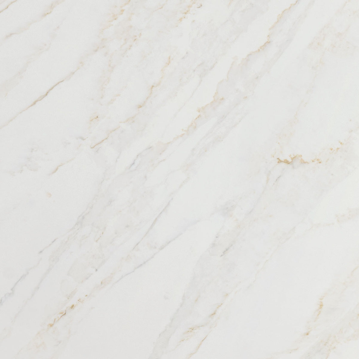 Calacatta Premata quartz slab, close up of the surface