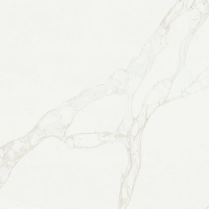 Calacatta Rivessa quartz slab, close up of the surface