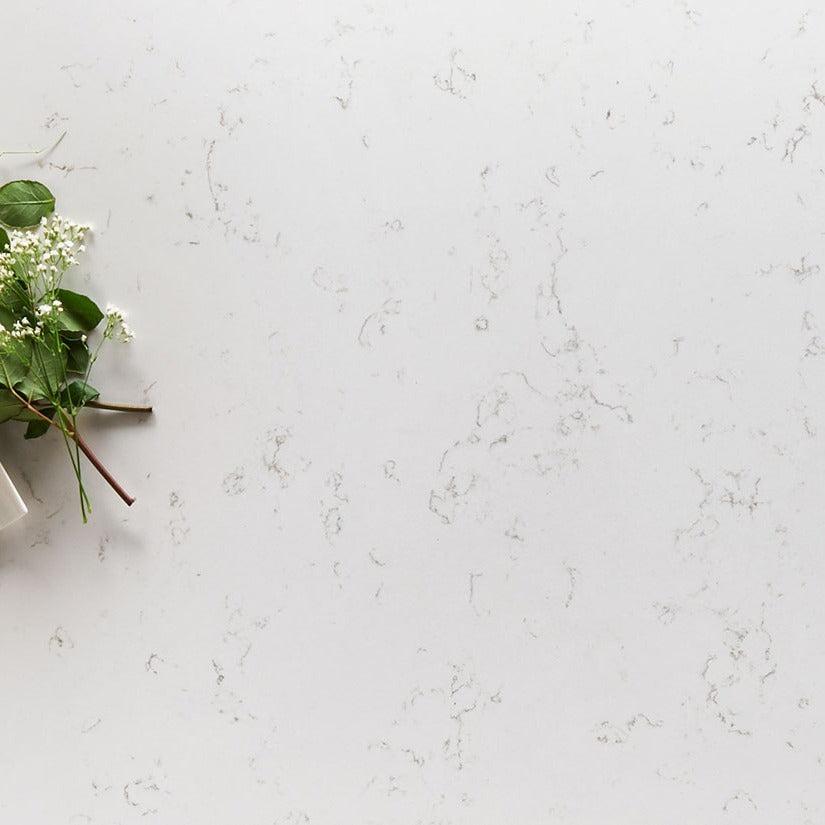 Carrara Breve quartz countertop installed in a room setting