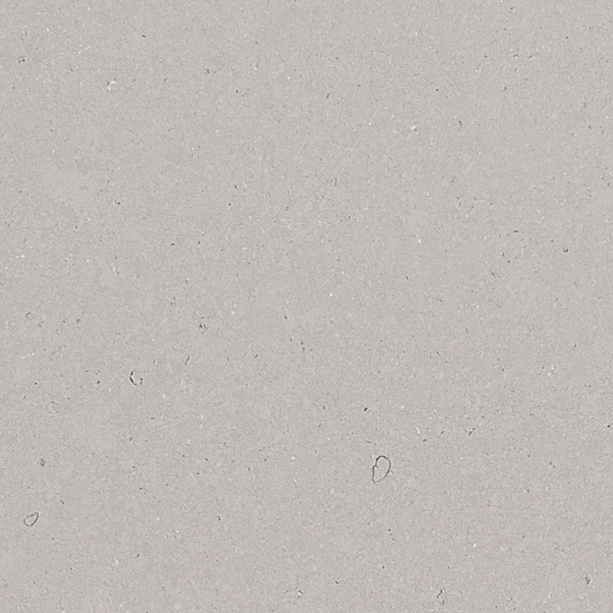 Fossil Gray Matte quartz slab, close up of the surface