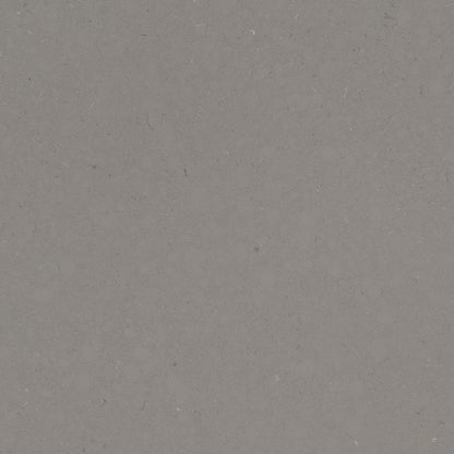 Fossil Gray quartz slab, close up of the surface