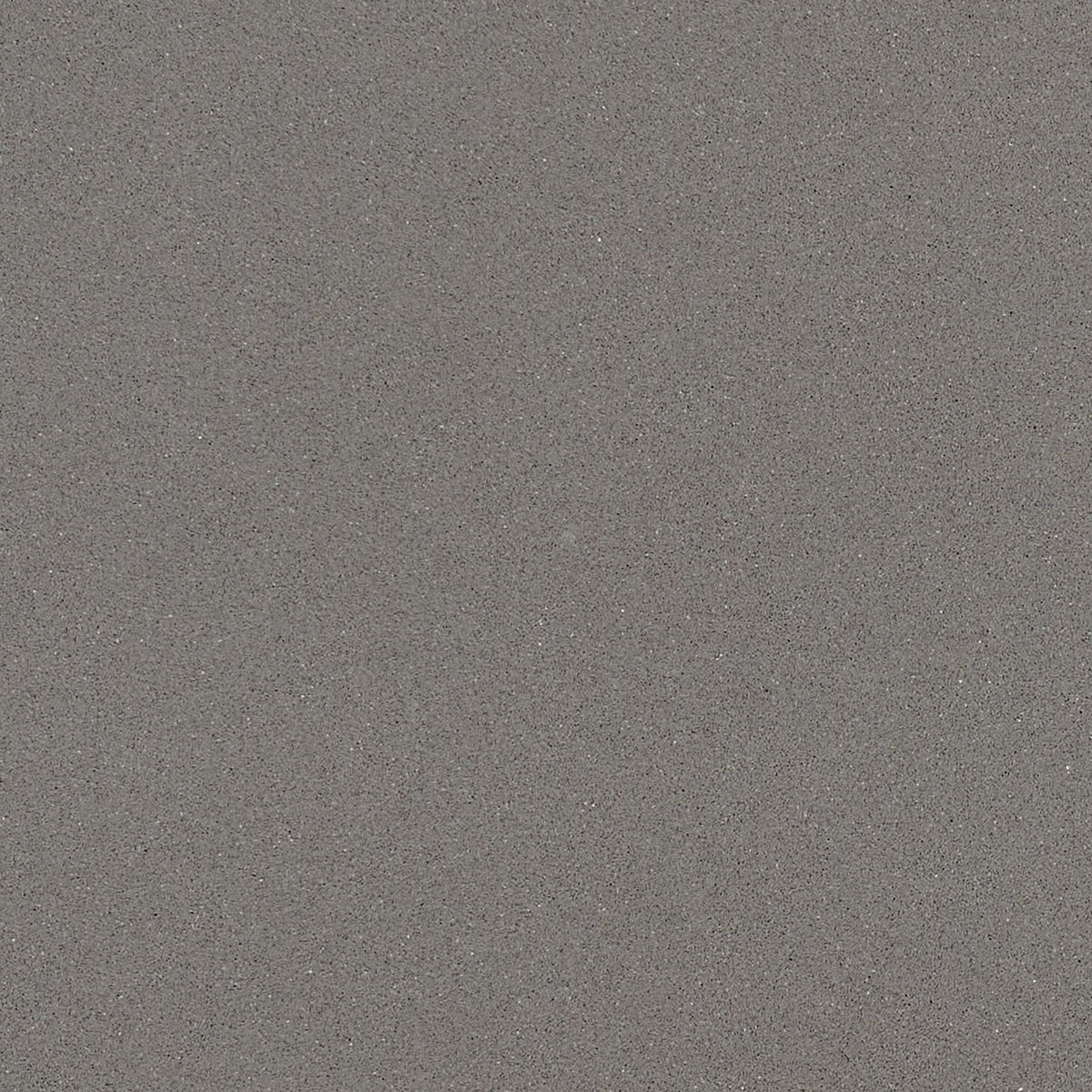 Macabo Gray quartz slab, close up of the surface