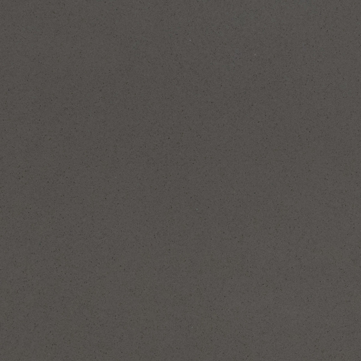 Manhattan Gray quartz slab, close up of the surface