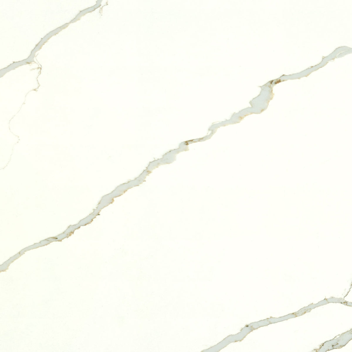 New Calacatta Laza Gold quartz slab, close up of the surface