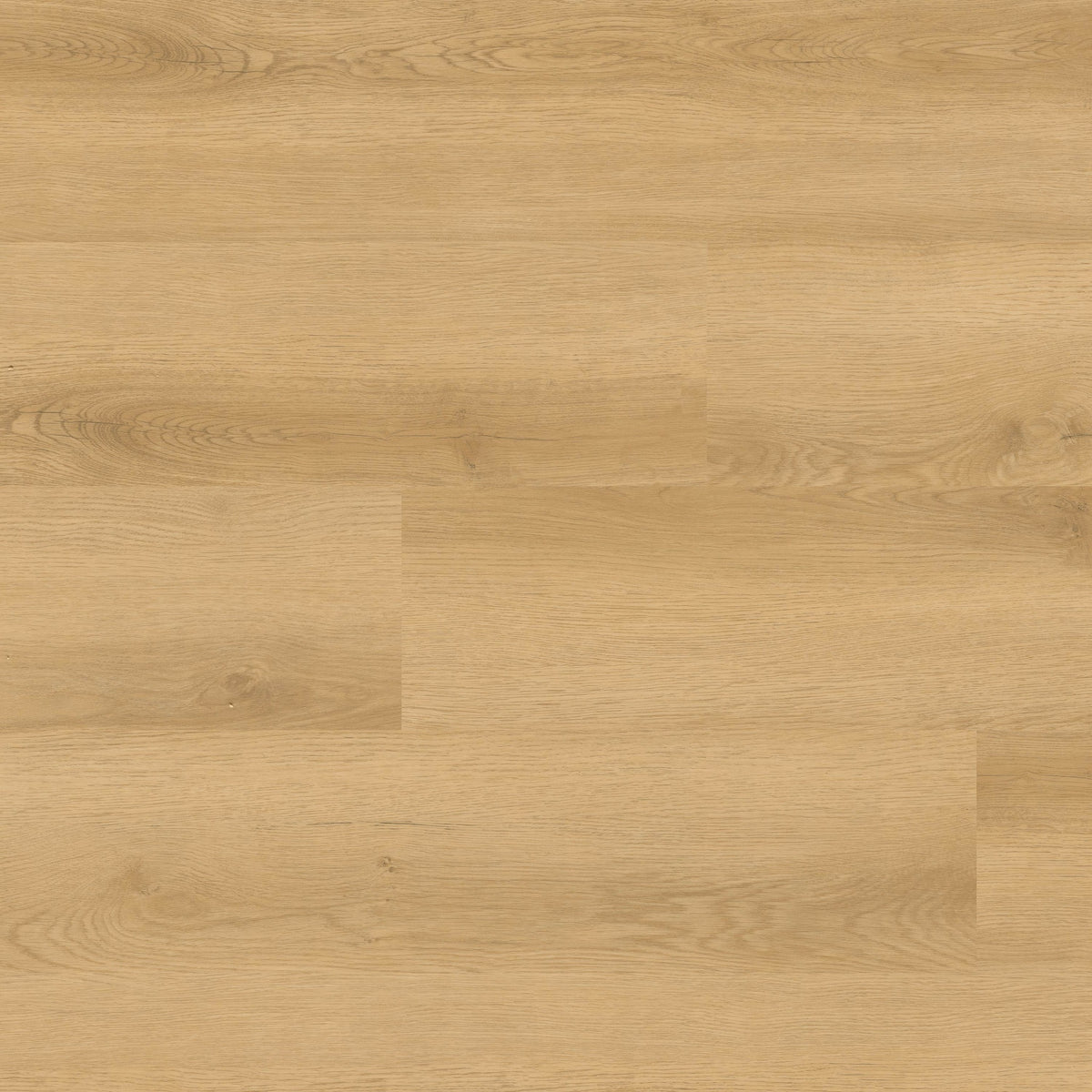 Nove Plus Hyde Haven glue down luxury vinyl plank flooring, top down plank view