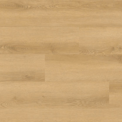 Nove Plus Hyde Haven glue down luxury vinyl plank flooring, top down plank view