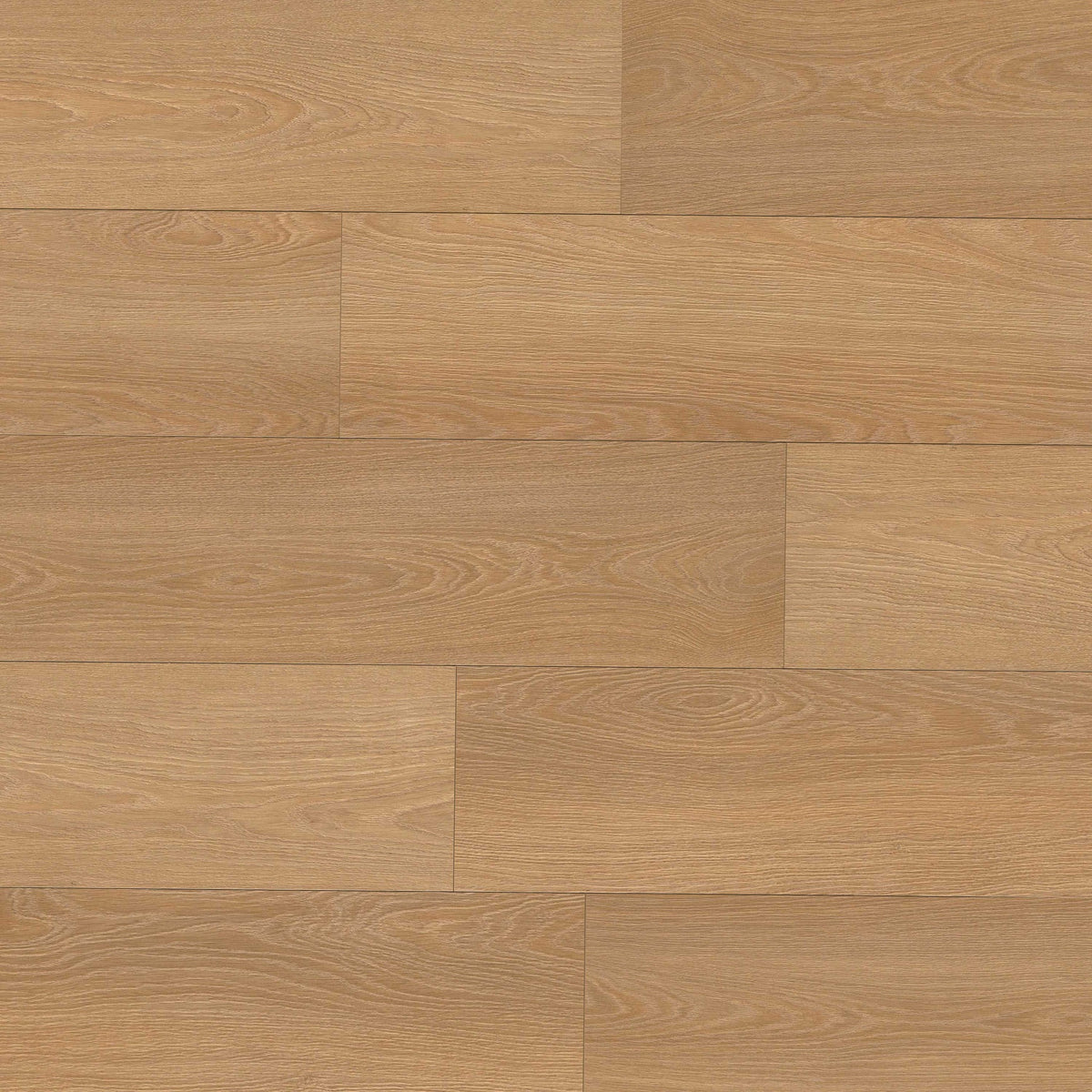 Shorecliffs Wallingford Blonde hybrid rigid core plank flooring, top down plank view