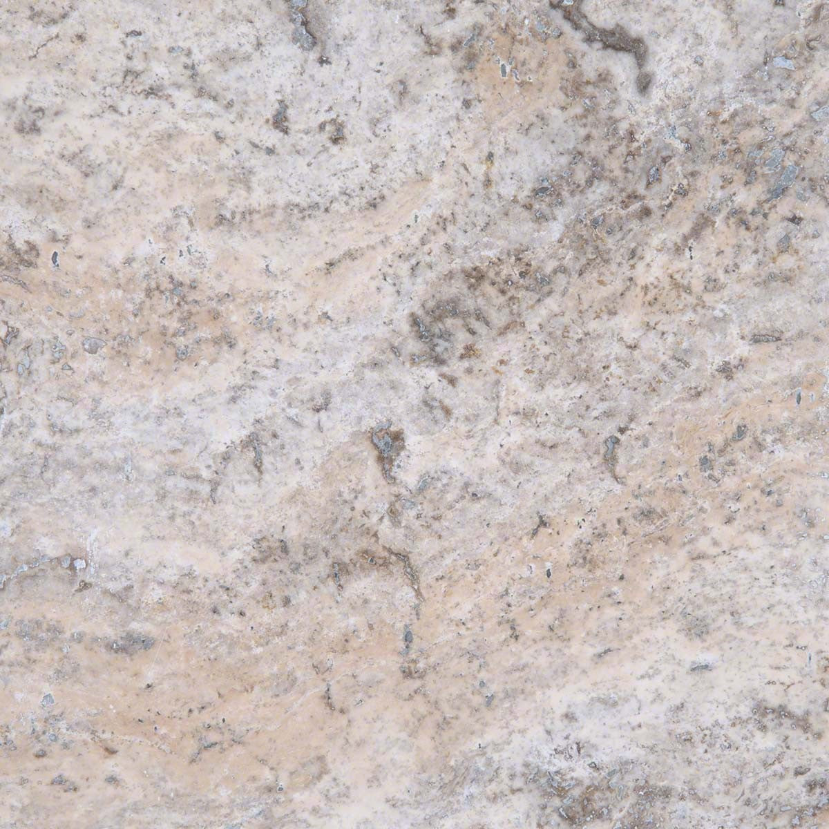 Silver Travertine natural stone pool coping, close up product view showing color and texture