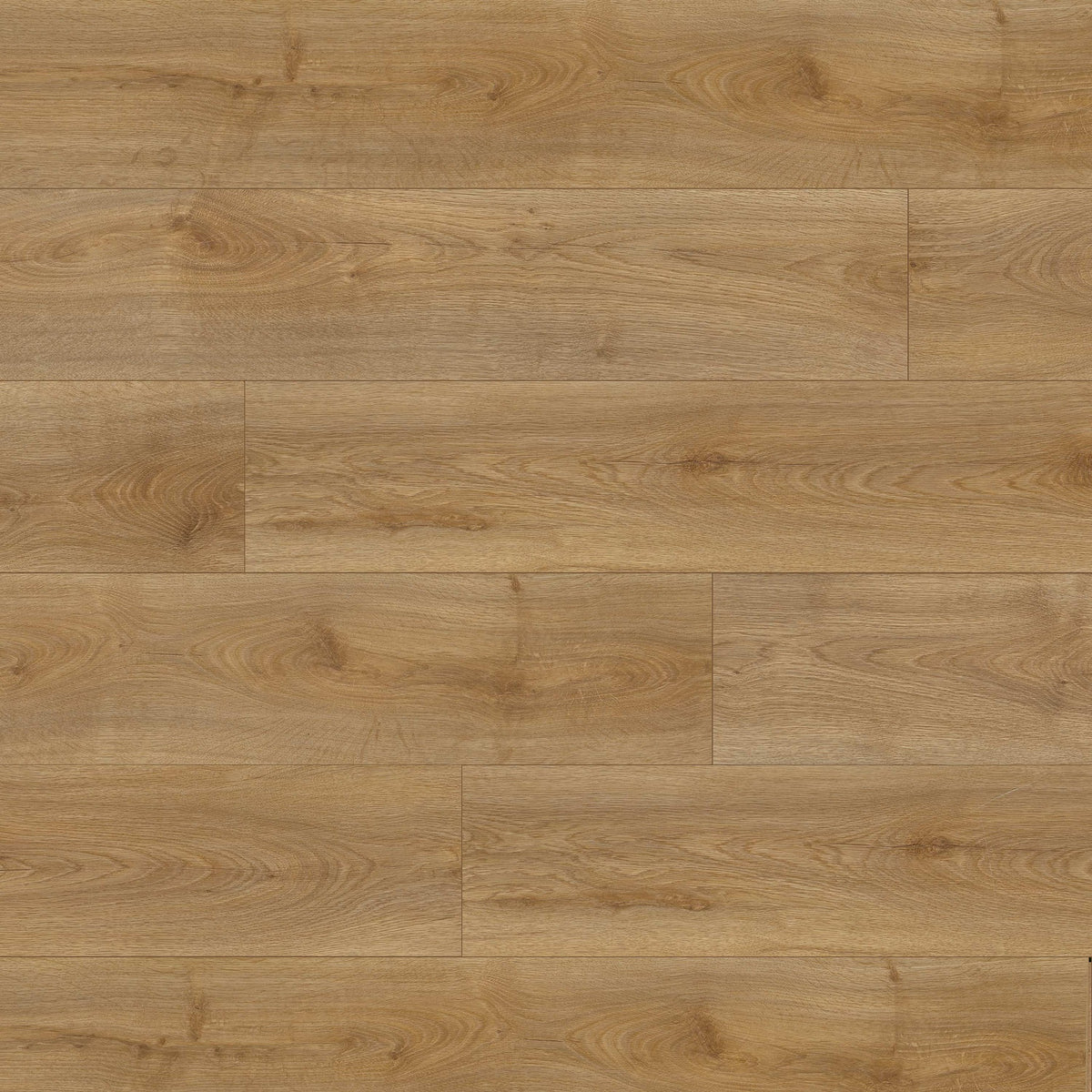 Smithcliffs Cloudland hybrid rigid core plank flooring, top down plank view
