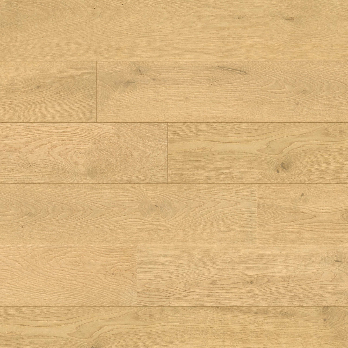 Smithcliffs Doverville hybrid rigid core plank flooring, top down plank view