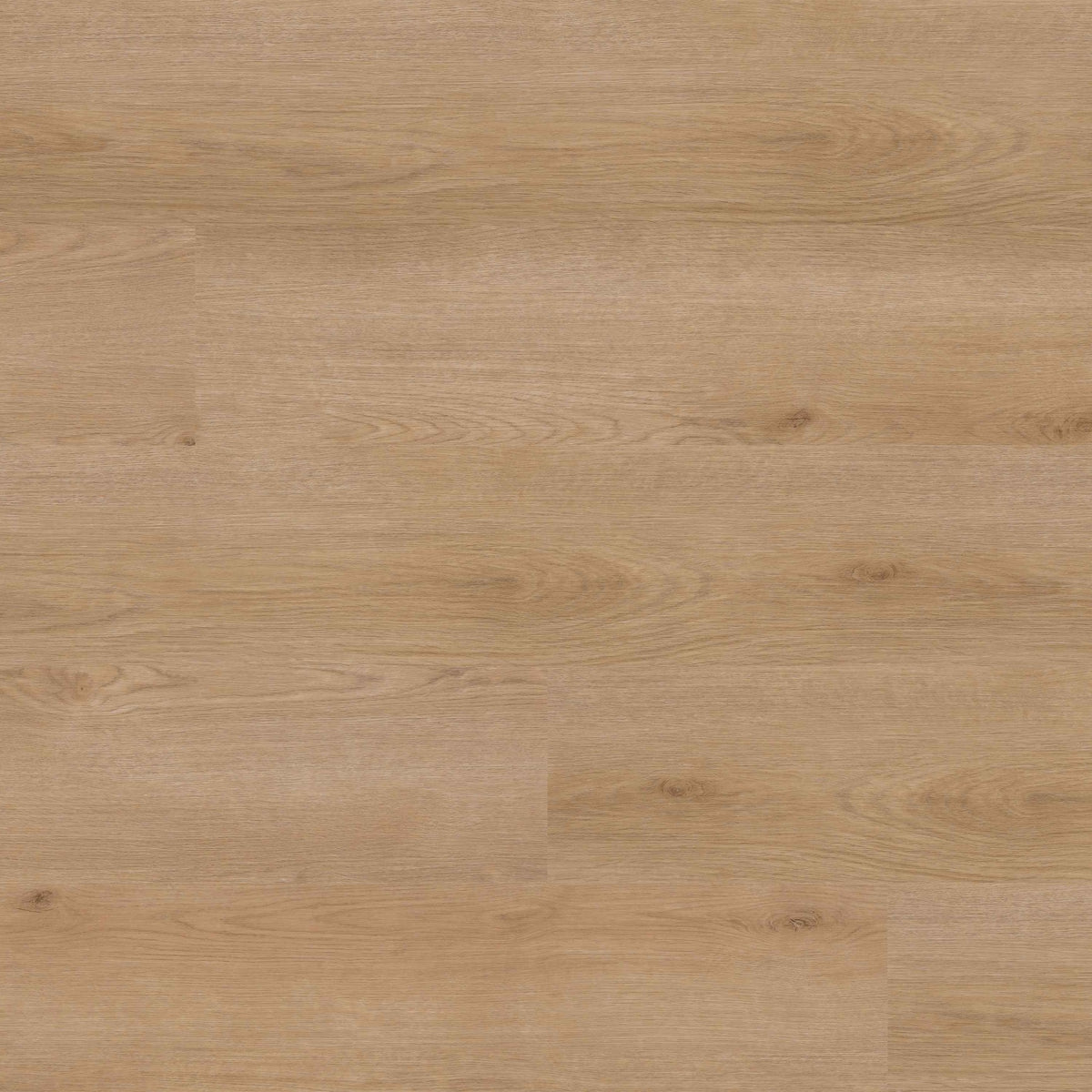 Studio Bozeman SPC rigid core vinyl plank flooring, top down plank view