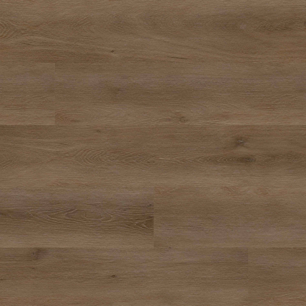 Studio Doack SPC rigid core vinyl plank flooring, top down plank view
