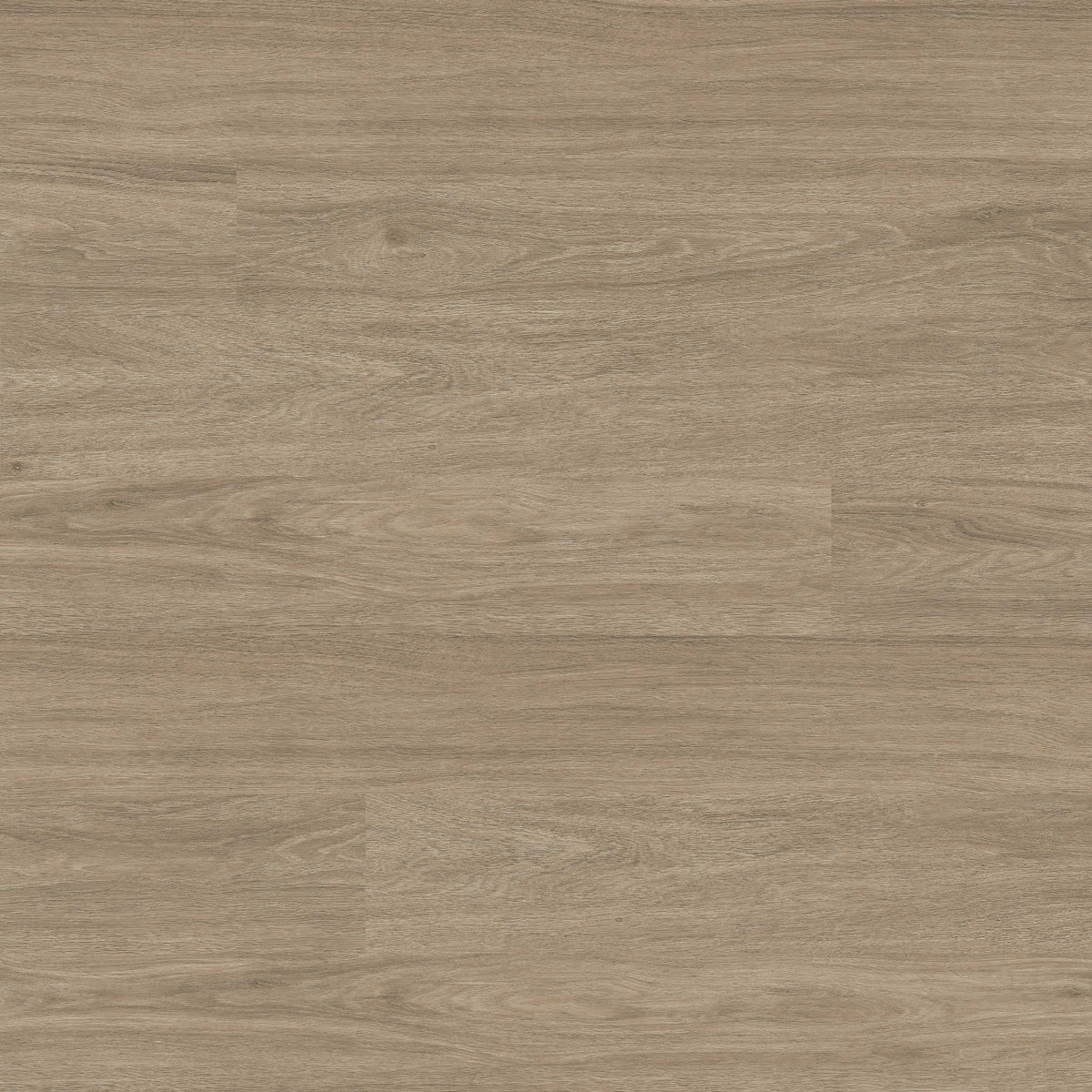 Wilmont Bleached Elm glue down luxury vinyl plank flooring, top down plank view