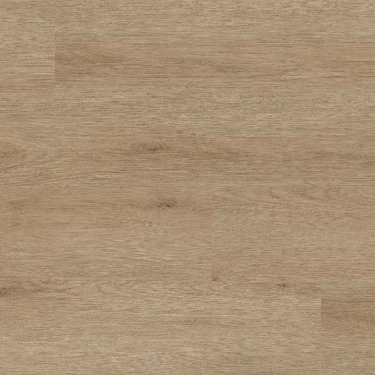 XL Studio Bozeman SPC rigid core vinyl plank flooring, top down plank view