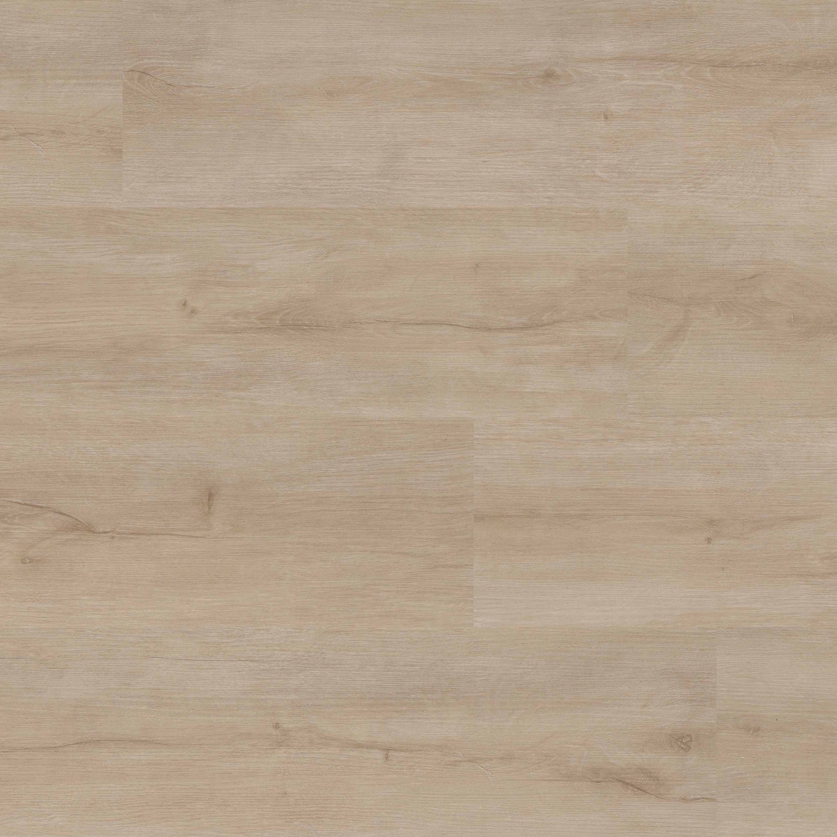 XL Studio Tifton SPC rigid core vinyl plank flooring, top down plank view
