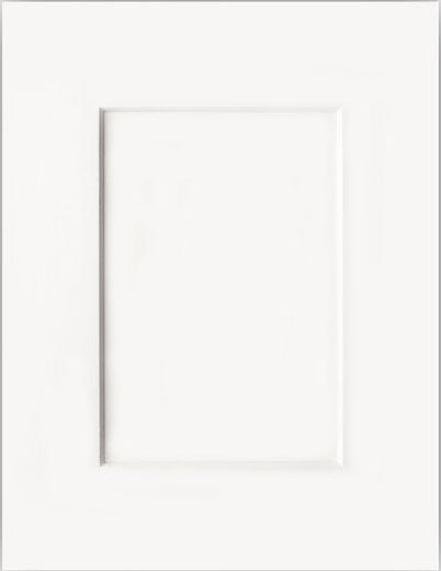 NX-American White Shaker
