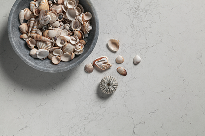 QDI-Aspen PRIMO BELLA® Quartz Slab