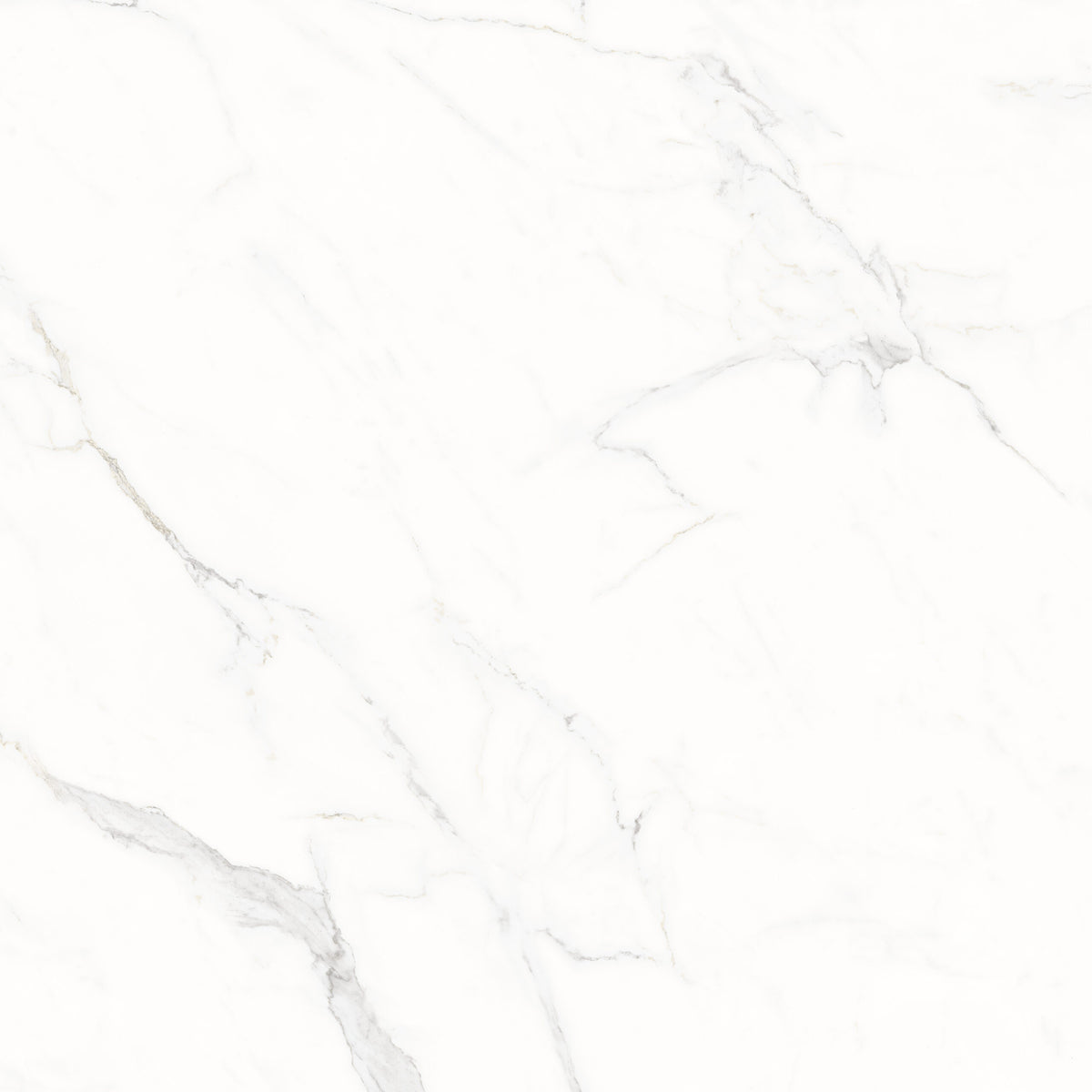 Marbleize sintered stone outdoor pavers