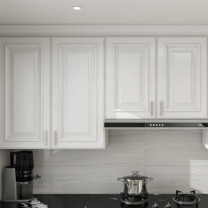 SGG-Charleston Pure White Raised Panel