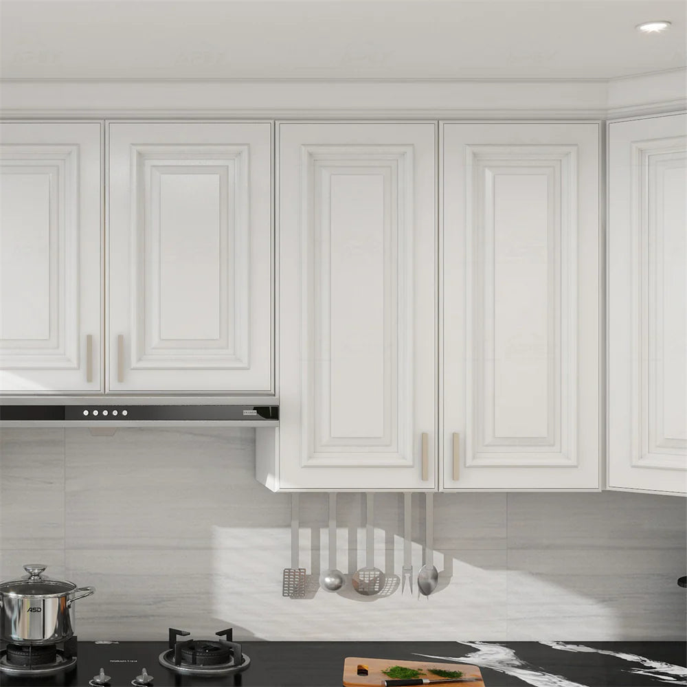 SGG-Charleston Pure White Raised Panel
