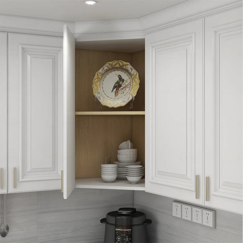 SGG-Charleston Pure White Raised Panel
