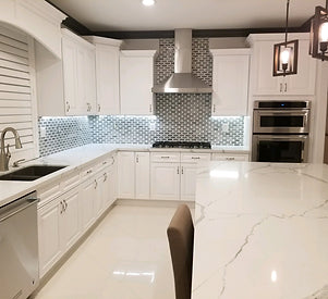 SGG-Charleston Pure White Raised Panel