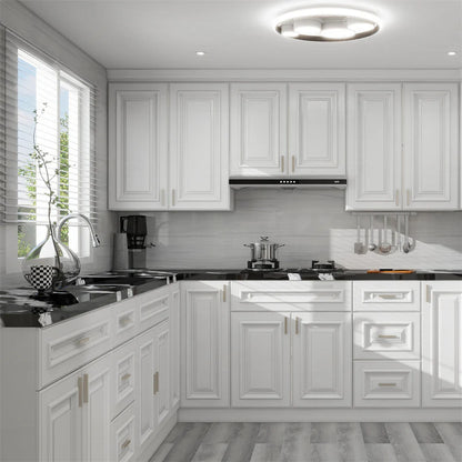 SGG-Charleston Pure White Raised Panel