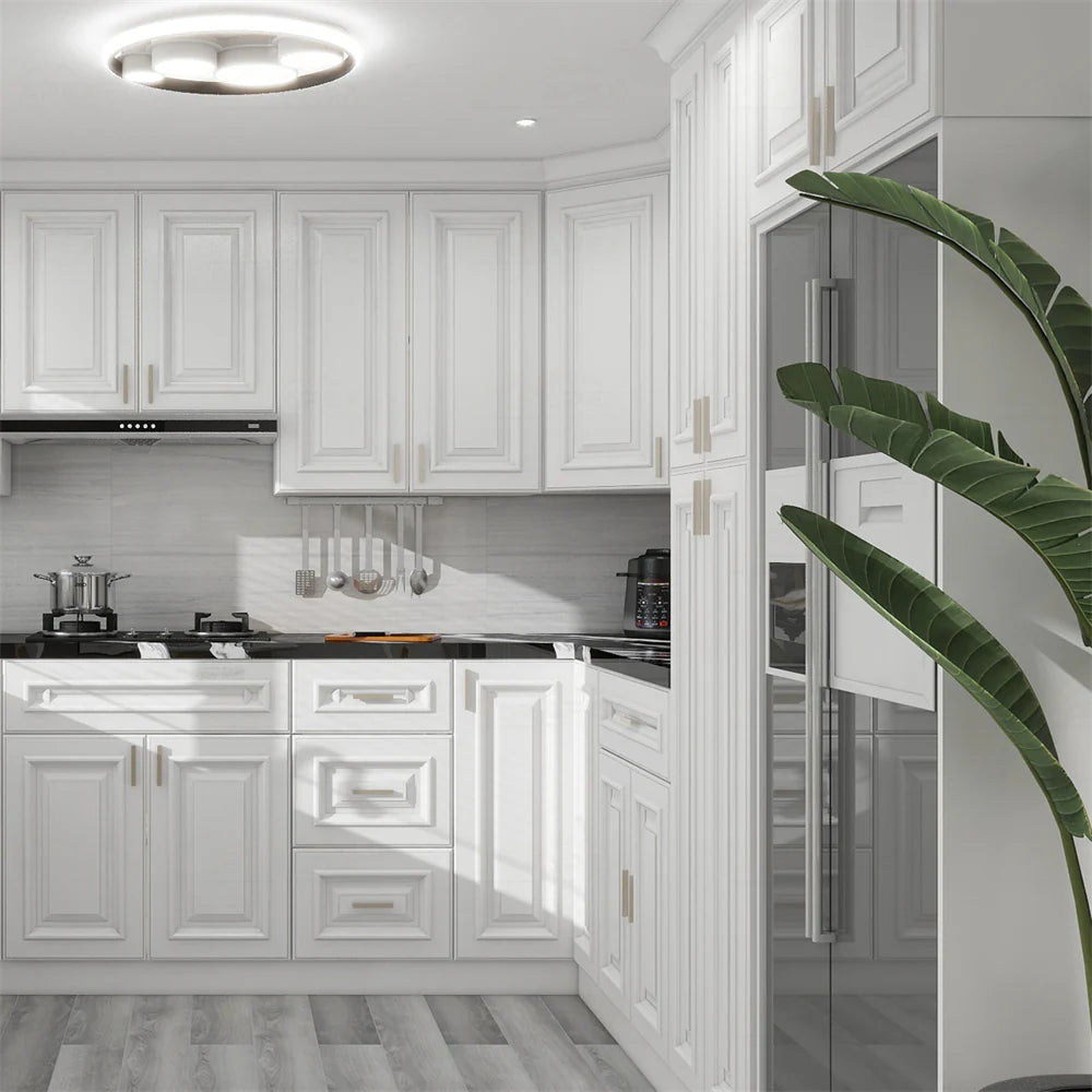 SGG-Charleston Pure White Raised Panel