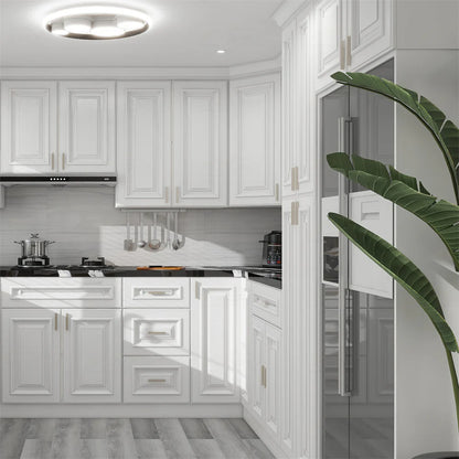 SGG-Charleston Pure White Raised Panel