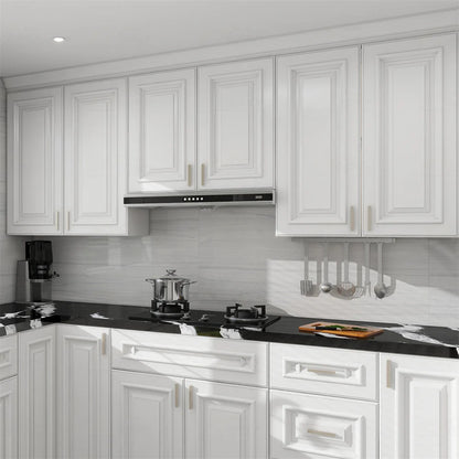 SGG-Charleston Pure White Raised Panel