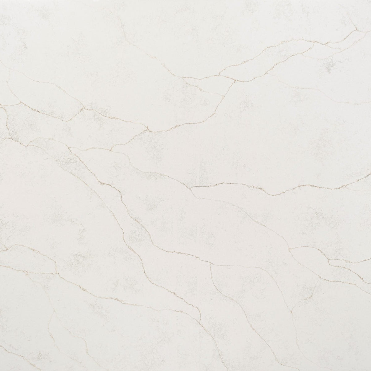Regal d'Oro silica free quartz slab sample by Stratus Surfaces, white with gray and taupe veining, polished finish, close up