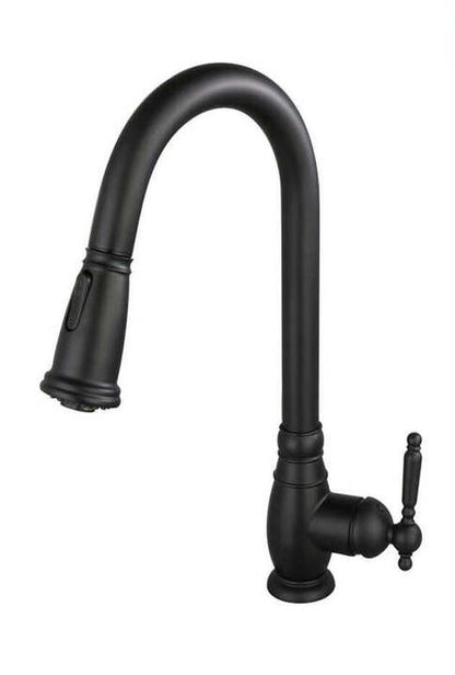 Ishanti Kitchen Faucet