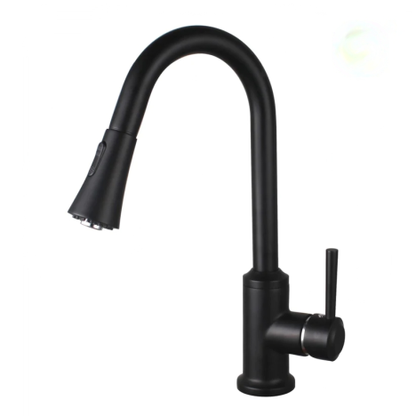 Viviana Kitchen Faucet